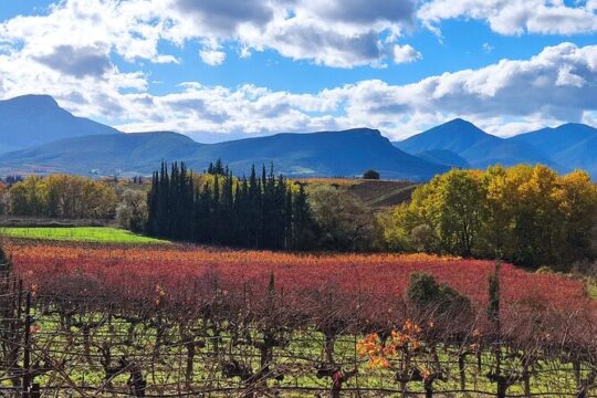 Nemea One Day Wine Gathering