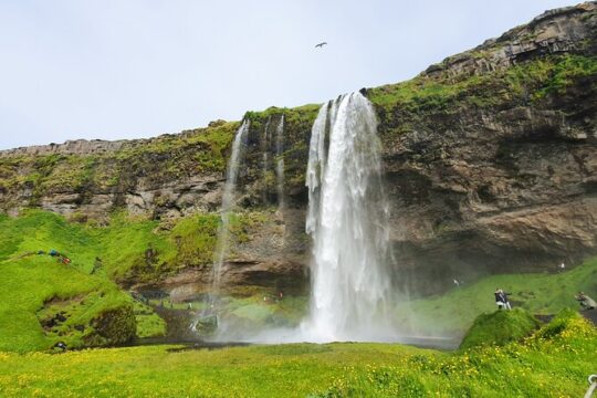 Private Full Day South Coast Tour from Skarfabakki