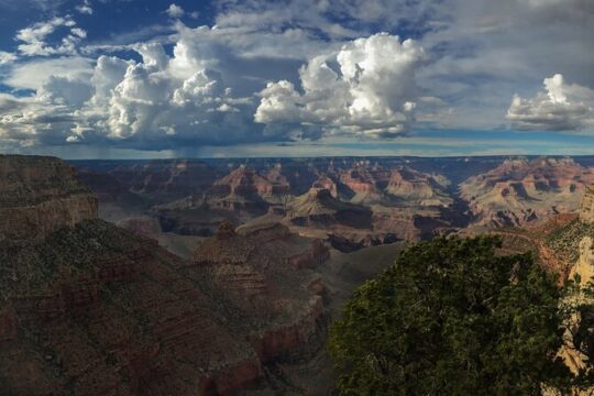 Day Tour of The Grand Canyon South Rim