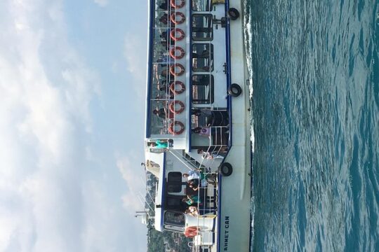 Bosphorus Cruise With Dolmabahçe Palace and Fortresses