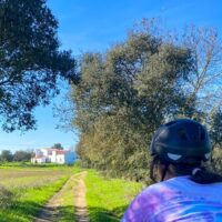 Multi-day & Extended Tours
