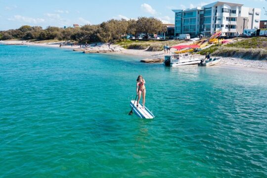 Stand Up Paddle Board Rental in Sunshine Coast