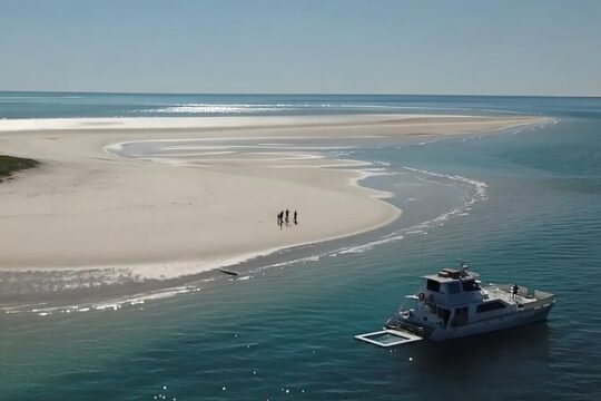 Freedom Skippered Boat Charter Half Day K'gari and Hervey Bay
