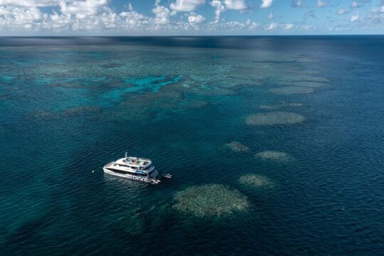 Full Day Snorkel In The Great Barrier Reef