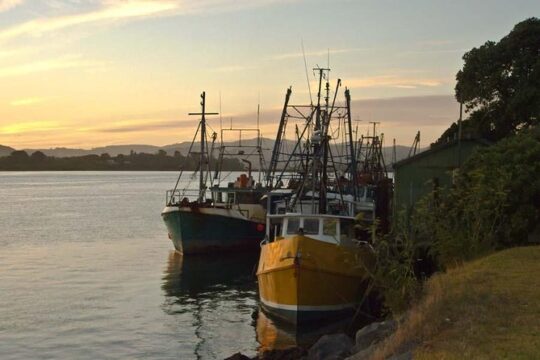 Explore Tauranga: Self-Guided Audio Tour
