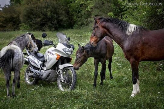 Riders tours (Vikos-Aoos Geopark)
