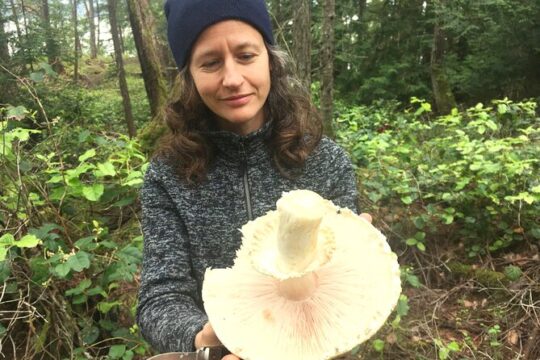 Wild Mushroom Foraging Class