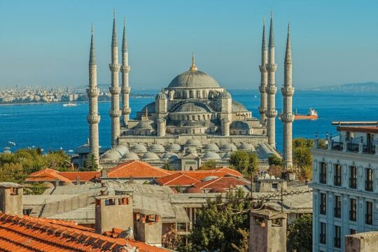 Private Guided Walking Tour in Sultanahmet District