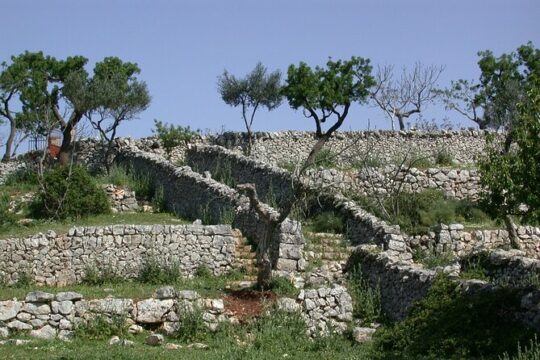 Alberobello: The secret origins of the trulli, private tour 2 hours