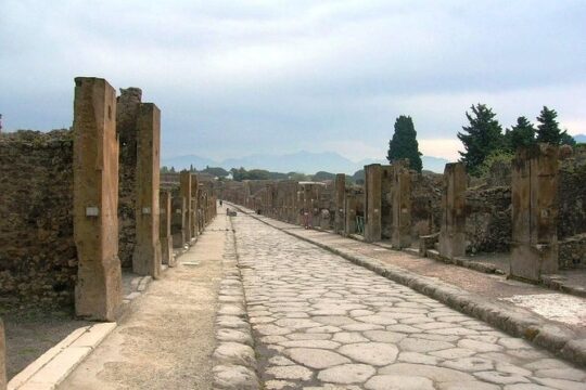 Pompeii Private Tour from Naples