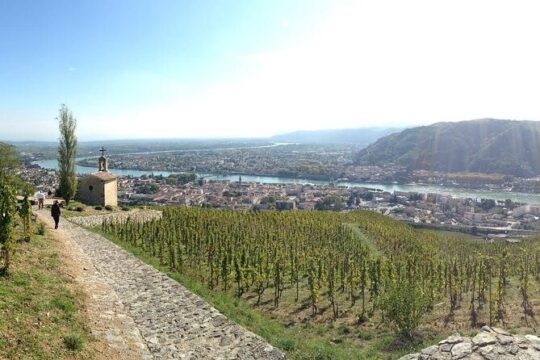 Private Wine and Hiking in Hermitage from Lyon with wine tasting