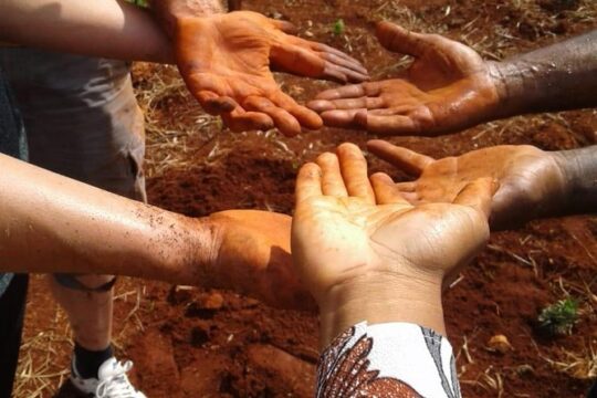 Tour a Jamaican Farm