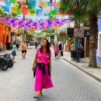 Layover Tours