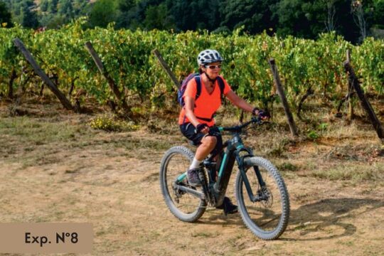 E-bike ride and tasting
