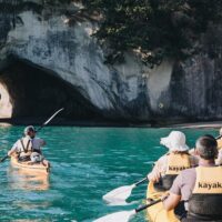 Shore Excursions