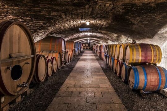 Chianti Charm & Passion: Private daytrip from Florence