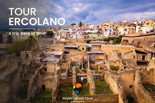 Ercolano Private Tour With Entrance Ticket