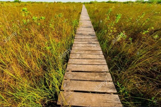 Discover Muyil: Ancient Ruins and Lagoon Serenity