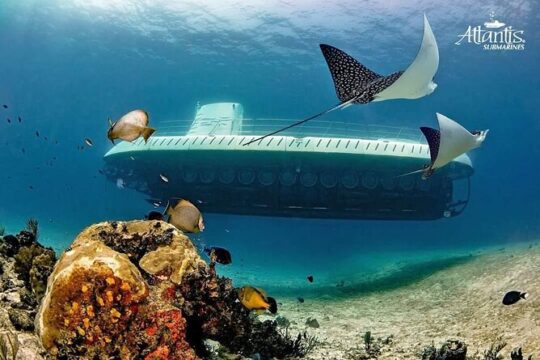 Cozumel Underwater Tour from Cancun