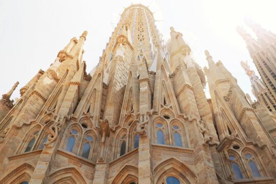 Private Tour Gothic Quarter and Holy Family with Tickets