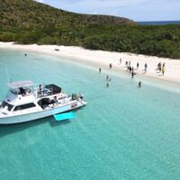 Lunch Cruises