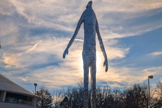 Full Day Journey Through the Artistic Tapestry of St Louis