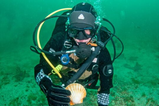 First Time Diver Scuba Experience