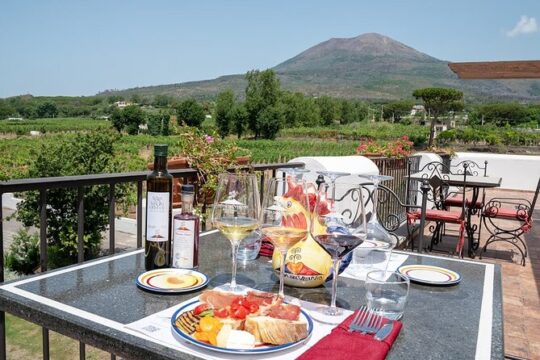 Pompeii Group Tour Excavations And Wine Tasting And Lunch