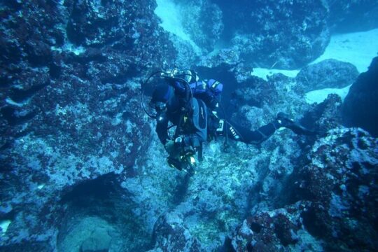 Professional Scuba Diving at Capo Caccia Alghero
