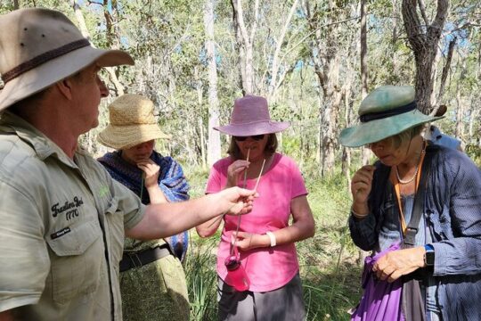 Unique and Personal BushTracks Eco Tour in Agnes Water 1770