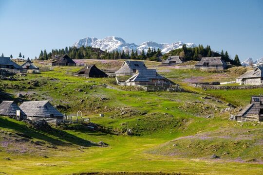 From Ljubljana: Velika Planina guided hike