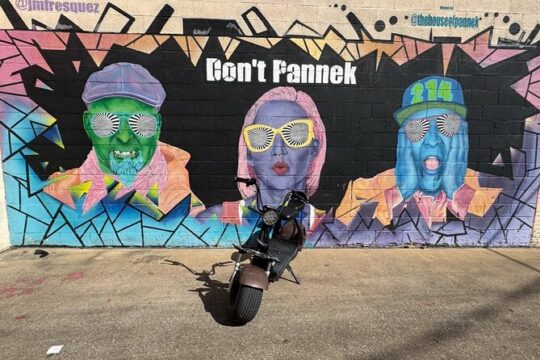 Fat Tire 2 Seater Rental in Houston