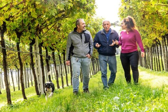 Explore Verona Wine Tour Experience