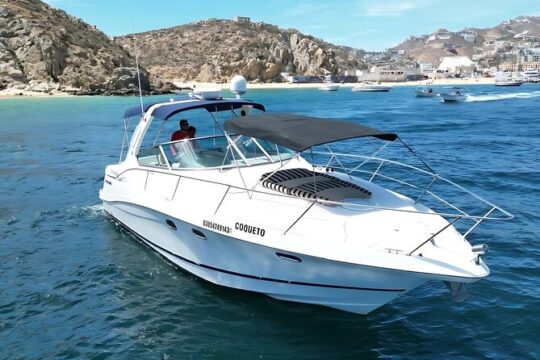 Private Own Yacht in Cabo Whale Watching, Crew and Open Bar