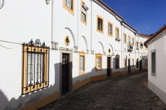 From Lisbon Private and Customizable Évora Day Trip with a Local