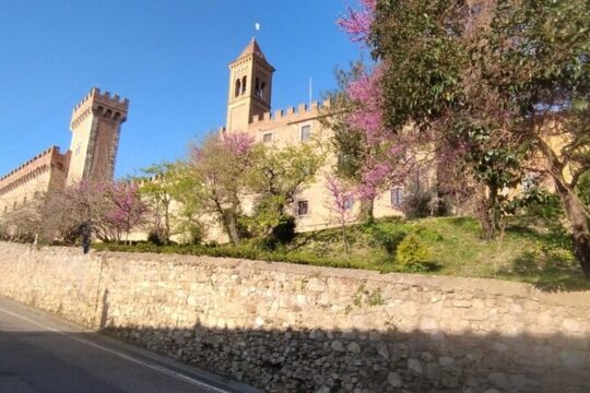 From Florence to Bolgheri Private Tour by Minivan