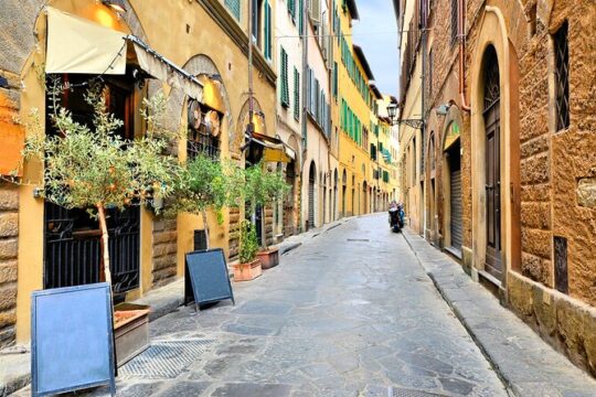 Florence Walking Guided Tour