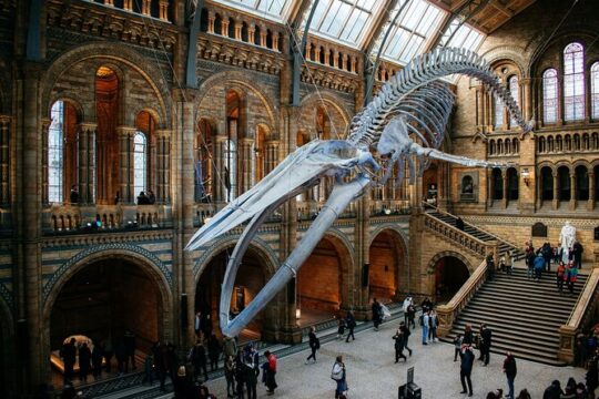 London Natural History Museum Ticket Pass