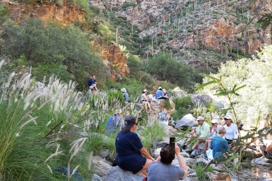 Hiking Ventana Canyon and Sabino Canyon