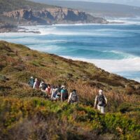Multi-day & Extended Tours