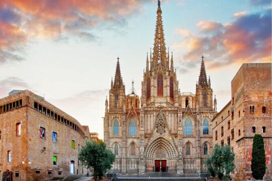 Reserved Entry Ticket to Barcelona Cathedral with Rooftop Access