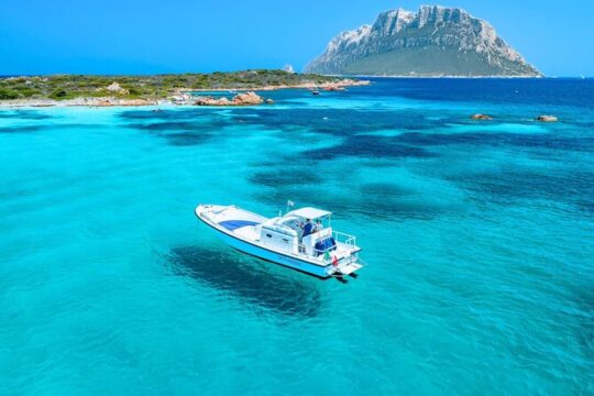 From Porto San Paolo: 4-hour boat tour to Tavolara