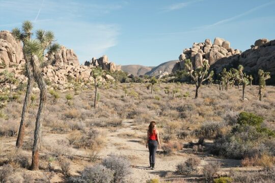 1-day Private Tour to Joshua Tree National Park from Los Angeles