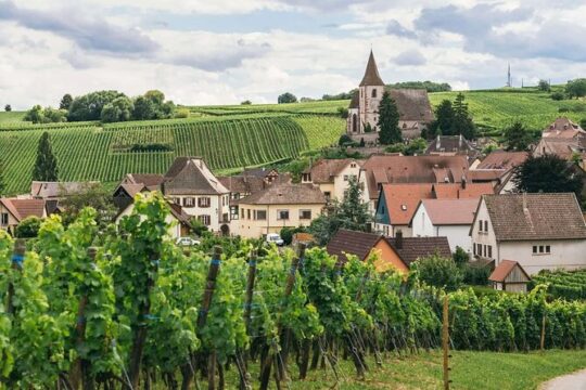 One day private round transfer to Burgundy from Paris