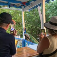 Literary, Art & Music Tours