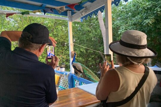 Local Experience, St. John U.S. Virgin Islands Food Tour