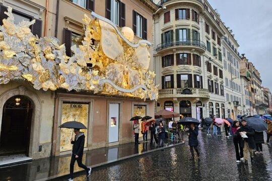 Afternoon Tour of Rome with English Speaking Driver