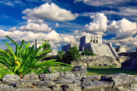 Self Guided Private Walking Tour of Ruins in Tulum