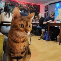 Painting Classes