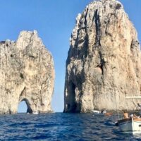 Catamaran Cruises